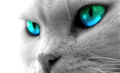 Es sabido que el gen de los ojos azules es recesivo con respecto al de los ojos marrones.