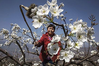 Las imágenes del día, 05042016