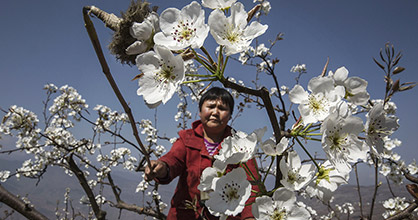 Inundaciones en Sarband (Pakistán).