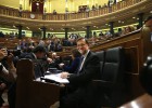 DVD 777  (06-04-16) Pleno del Congreso de los  Diputados.. Foto: Uly Martin.