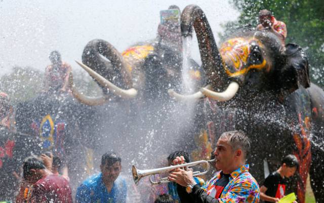 Un hombre toca la trompeta mientras los elefantes mojan a los participantes en el festival en Ayutthaya, al norte de Bangkok.