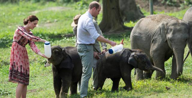 Los duques de Cambridge en la India.