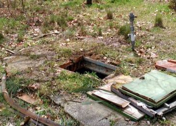 Real-life ‘Lassie’ leads police to 80-year-old shepherd trapped in well