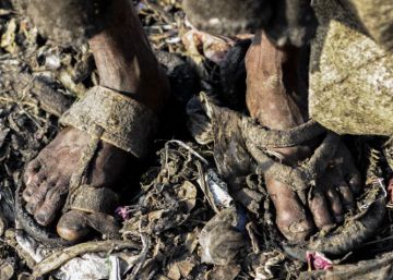 Las condiciones insalubres son culpables de buena parte de las infecciones. En la imagen, un vertedero de Bangladesh.rn rn 