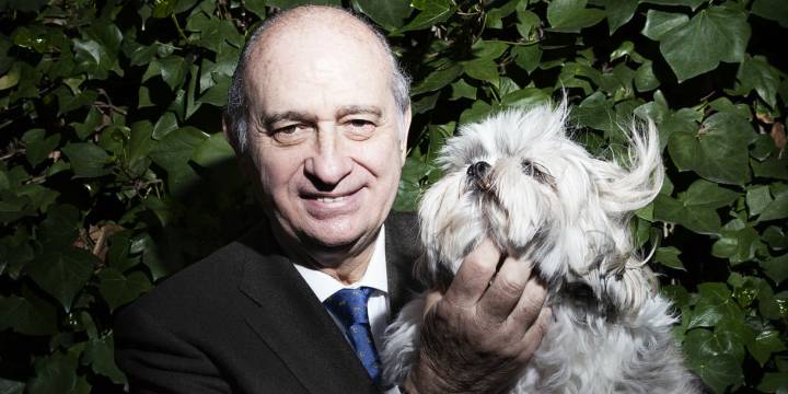 Conocemos a ‘Lola’, la perrita del ministro Jorge Fernández Díaz