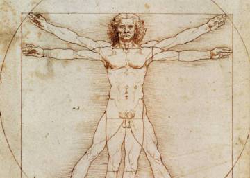 ¿Cuántos conejos hacen falta para llenar el universo?