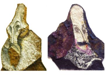 El alma de Shakespeare y Cervantes, en 16 libros imprescindibles