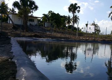 Proyecto en Gambia del espa&ntilde;ol Pedro Tom&aacute;s Delgado para potabilizar agua a bajo coste.