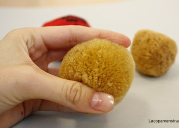 ¿Qué son las esponjas vaginales que recomienda utilizar la CUP?