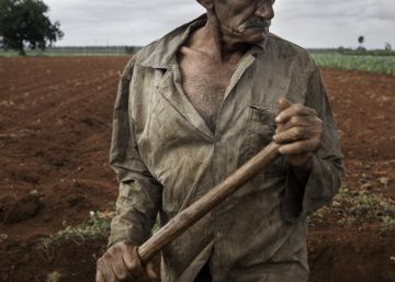 Semillas para la autonomía