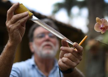 Florida intensifica el control de mosquitos para evitar la expansi&oacute;n del zika.