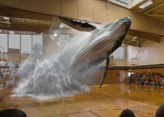 Magic Leap, el 'hype' que tiene a medio mundo babeando