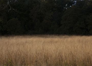 Los secretos encontrados de Andrew Wyeth