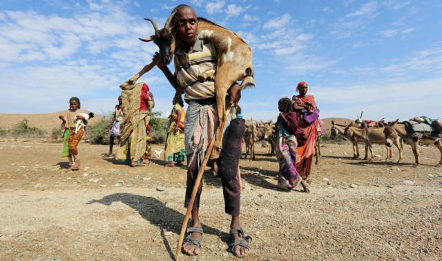 Un ni&ntilde;o lleva a hombros una cabra cerca de Jidhi.