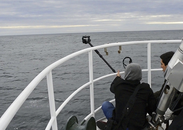 Bienvenidos  al periodismo inmersivo