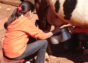 Leche para nutrir los sueños de una vida mejor