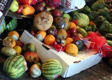Frutas y verduras desperdiciadas.