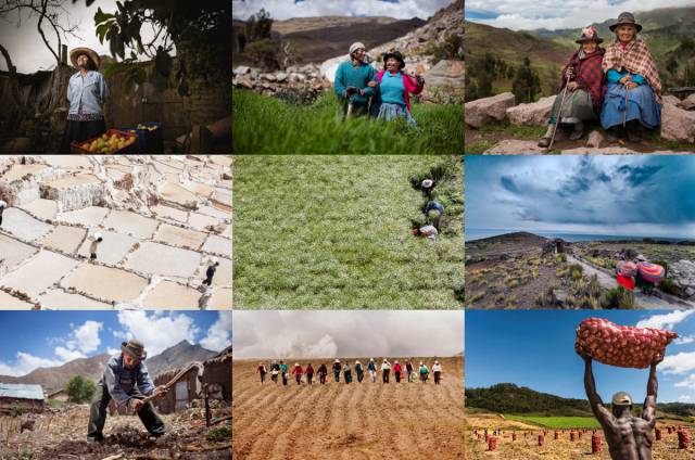 La belleza de la agricultura familiar