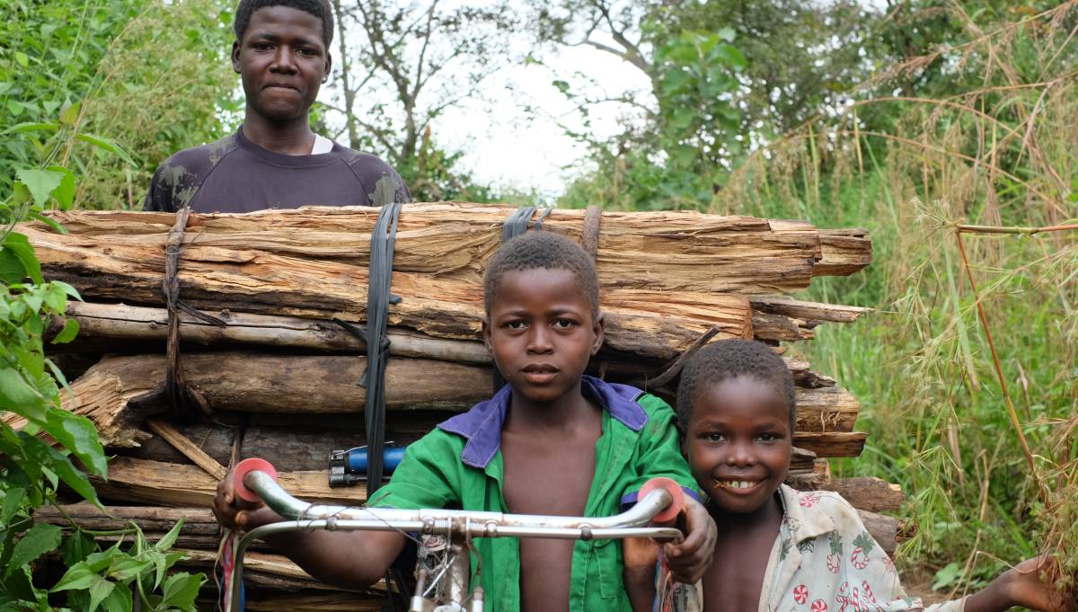 Tres niños transportan madera en una bicicleta en Sudán del Sur.