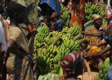 Venta de bananas en el mercado de Kigoma (Tanzania).