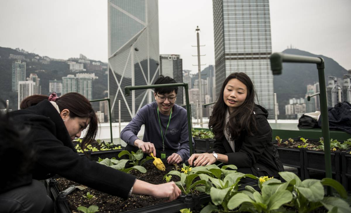 Tres estudiantes realizan un taller de cultivo ecológico en un rascacielos de Hong Kong.