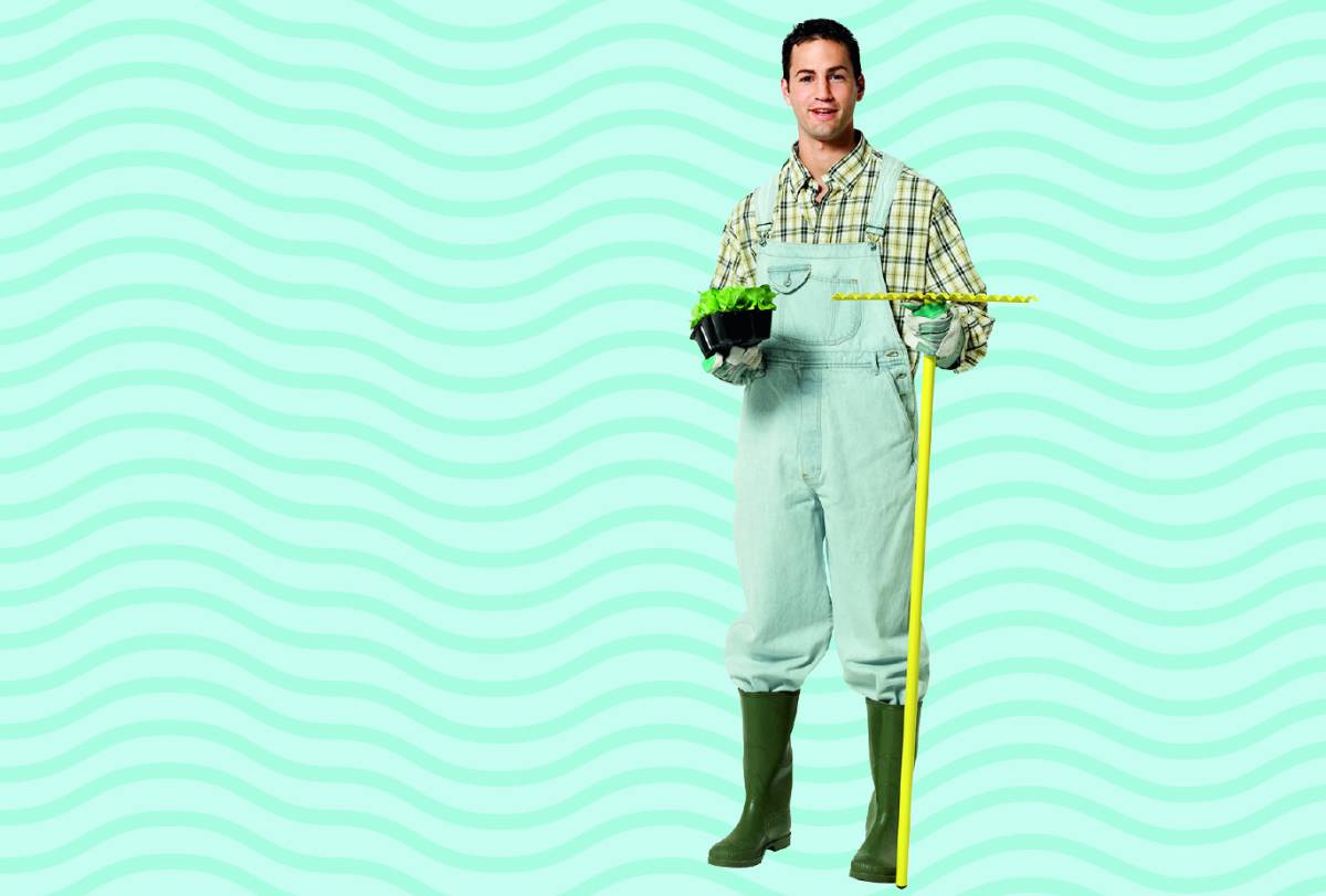 Ya se pueden plantar lechugas bajo el mar