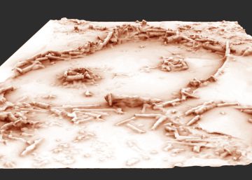 Reconstrucci&oacute;n en 3D de las estructuras de la cueva de Bruniquel.
