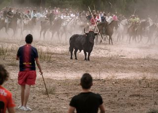 'Santa Fiesta', un recorrido por las crueldad con los animales