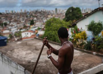 Brasil contin&uacute;a su batalla contra el virus Zika de cara a los JJ OO. 
