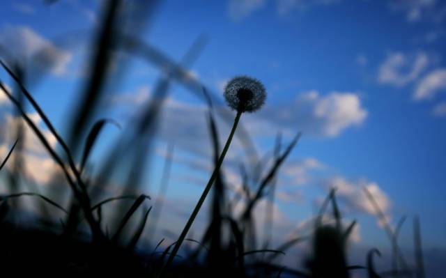 Día Mundial del Medio Ambiente