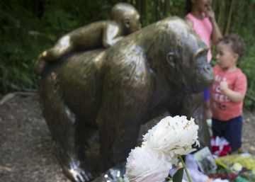 Cuando los gorilas surgieron de la niebla