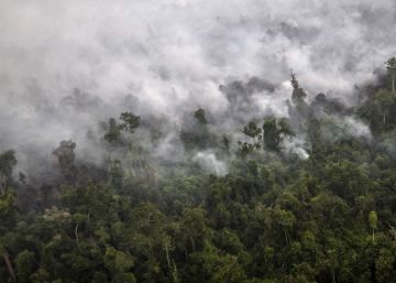 Vista &aacute;rea de la humareda de un incendio en Sumatra en septiembre de 2015. 