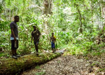 Pigmeos baka en la selva de la reserva de la biosfera de Dja, en Camerún.