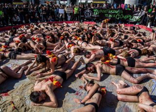 Los antitaurinos que se la juegan saltando al ruedo