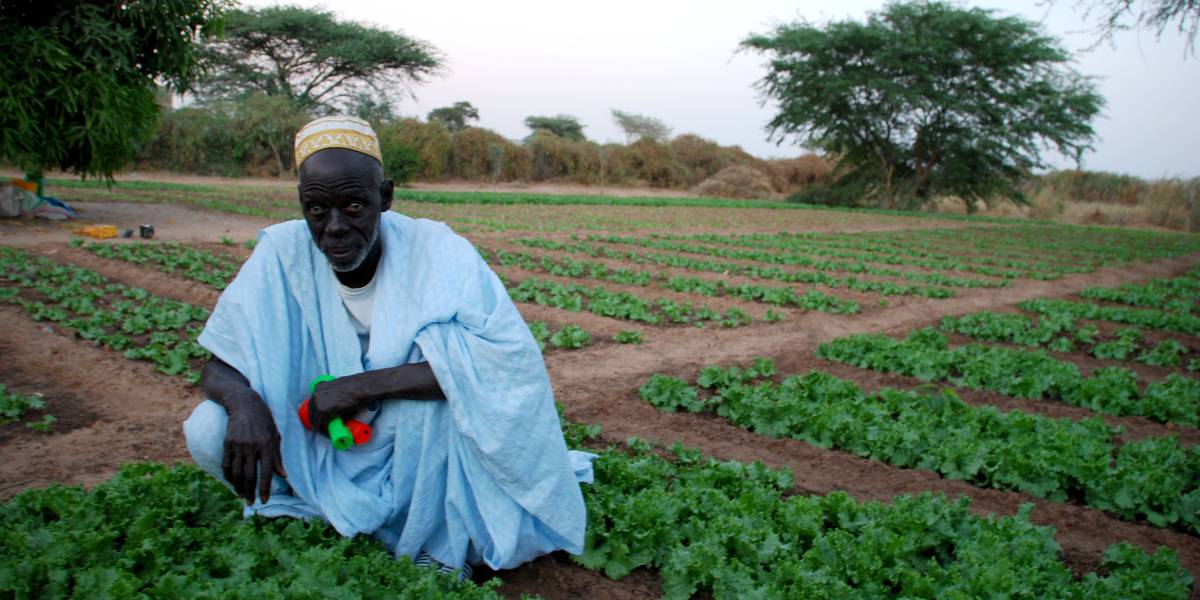 El agua llegó a la casa de Usman Ndiaye en el año 94, fue de los pocos varones que decidió quedarse en su pueblo.