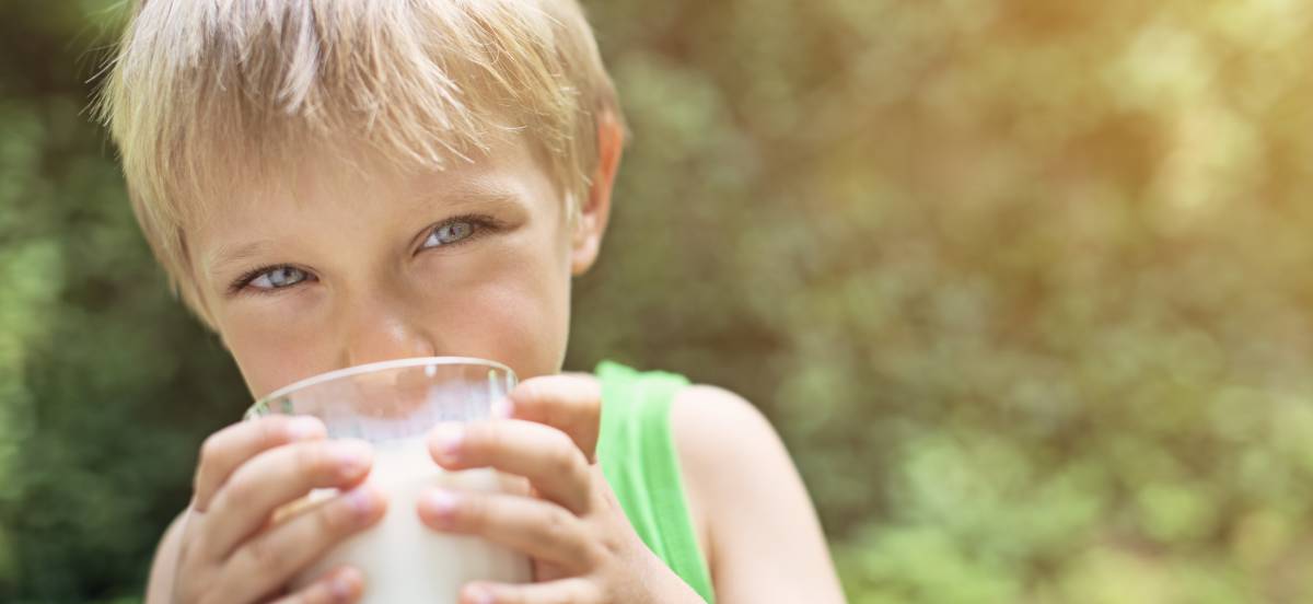 La leche, fuente de salud
