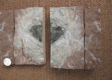 El asteroide &Ouml;st 65 hallado en una cantera del sur de Suecia