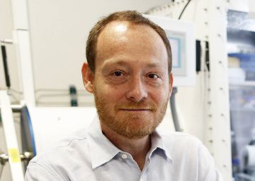 Luis Manuel Rubio, en el Centro de Biotecnolog&iacute;a y Gen&oacute;mica de Plantas.