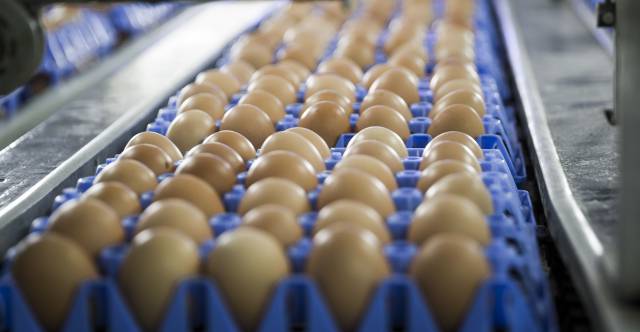 Un huevo grande contiene 185 mg de colesterol.