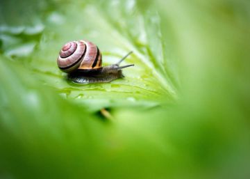 Las imágenes del día, 150616