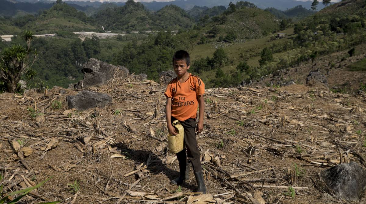 Un niño trabaja los cultivos cercanos a la hidroeléctrica Renace, en Cobán (Guatemala). 