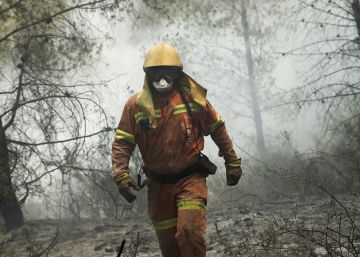 Incendio forestal en Valencia