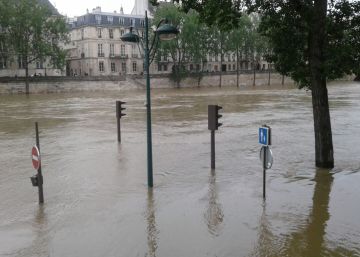 Peligro en el Louvre: ¡se ahoga la Venus de Milo!