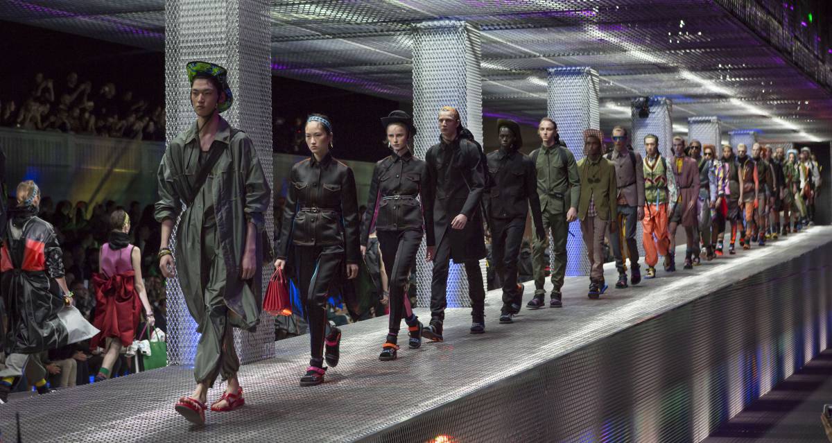 Escaladores, perfumes y el gato de Julian Assange