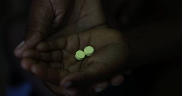 F&aacute;rmacos de artemisina contra la malaria, el tratamiento m&aacute;s efectivo que se conoce hasta la fecha.