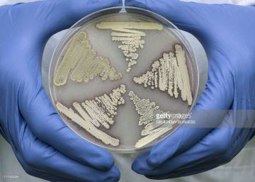 Una mutación global