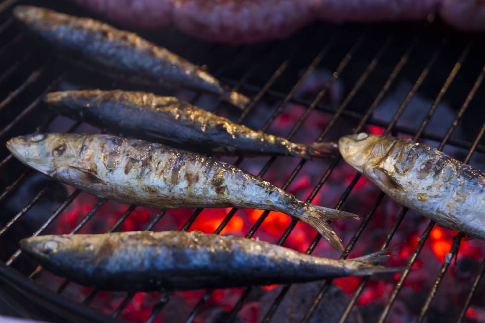 Sardinas Sardinas