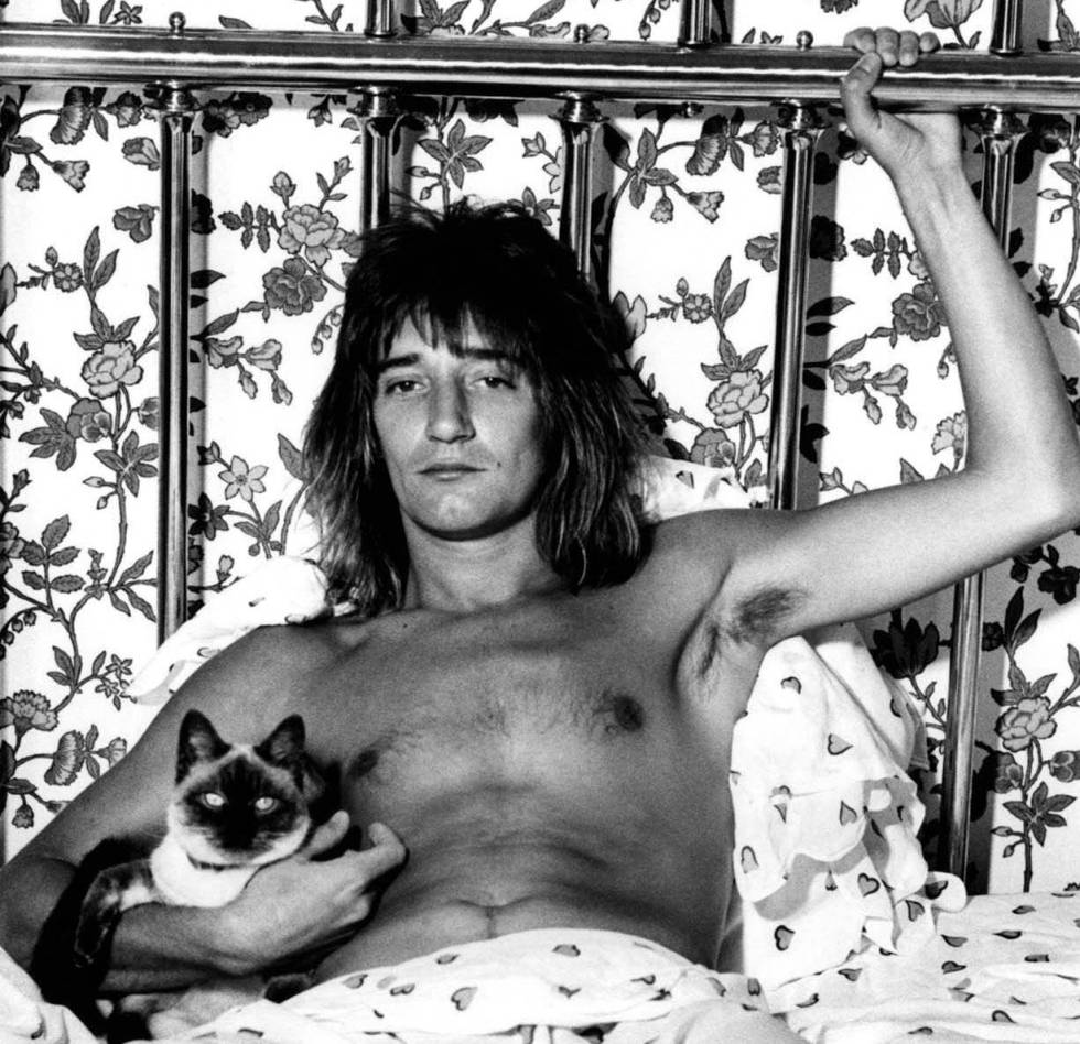 Rod Stewart, en 1976, con 30 años, en la cama con su gato.