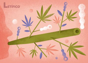 21 lúcidas y líricas palabras con la L