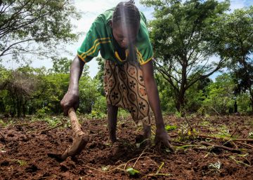Agnes Yassinodka, trabaja en el campo en Makangue, Rep&uacute;blica Centroafricana, en abril de 2016.